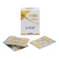 Extant VTM Energy And Focus Multivitamin Sarı Kutu